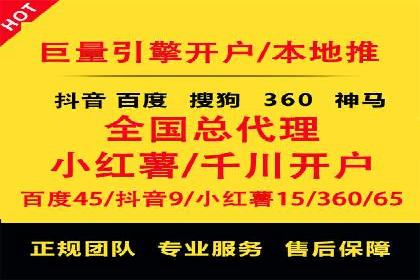 SEM代运营经典案例解析与启示